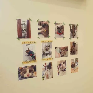 카페드블랑 리뷰 사진