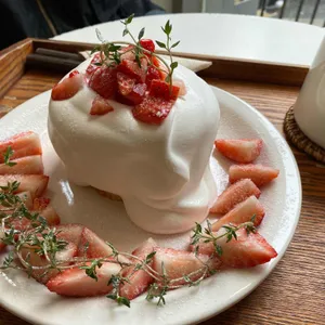 네시사분 사진
