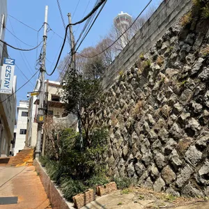마담, 마담 리뷰 사진