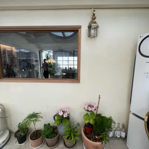 로제드파리 리뷰 사진