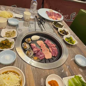 강변오리 사진