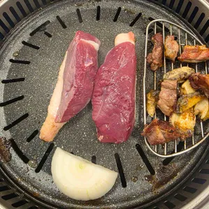 강변오리 사진
