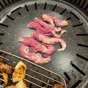 강변오리 사진