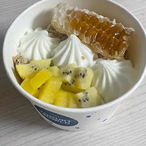 요거트월드 사진
