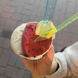 스쿠퍼 젤라또 사진
