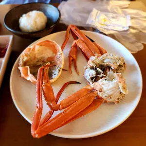 우디 사진