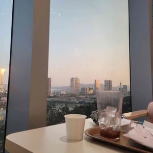 노티드월드 사진