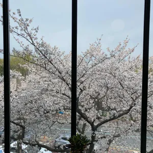 야드 리뷰 사진