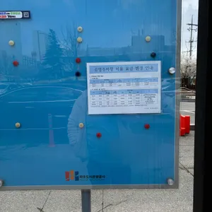 신간짬뽕 리뷰 사진