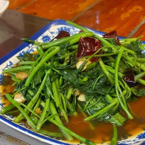 사천양꼬치 리뷰 사진