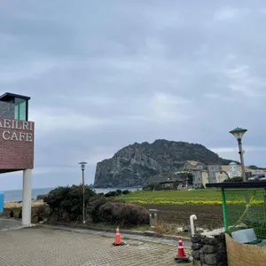 해일리 카페 대표 사진