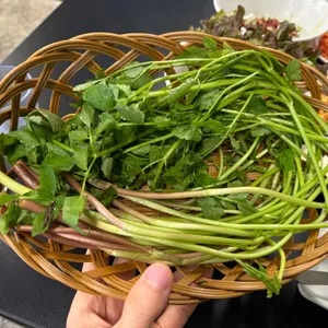 꽃대장 사진