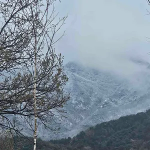 산아페 리뷰 사진
