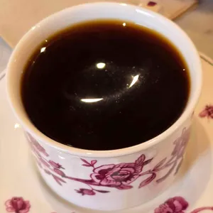 테라로사 사진