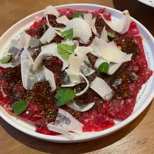 노송인 조르바 사진