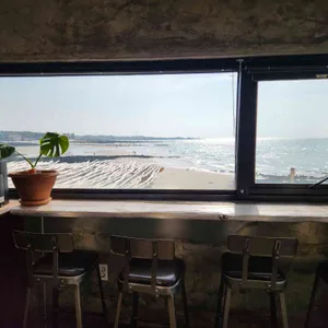 제제 그리너 리뷰 사진