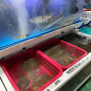 부산횟집 리뷰 사진