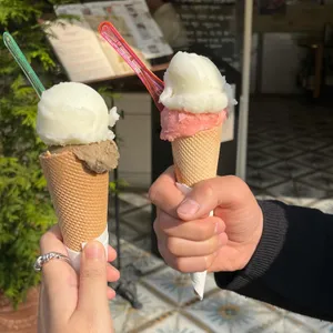 담금 사진