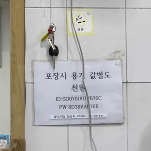 마포손칼국수 리뷰 사진