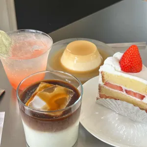 이코히 사진