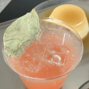 이코히 사진