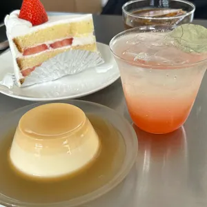 이코히 사진