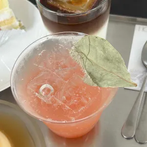 이코히 사진