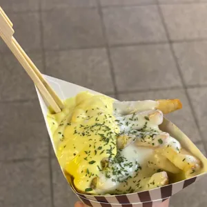 브뤼셀프라이 사진