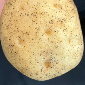 오브베이커리 사진