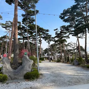 강원옥 리뷰 사진