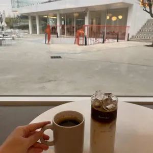 브루다 사진
