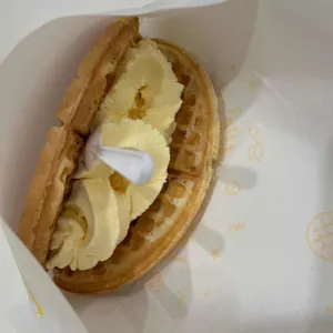 와플대학 사진