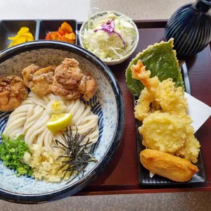 코시 사진