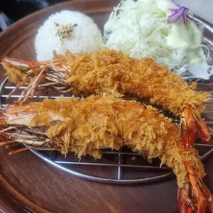 코시 사진