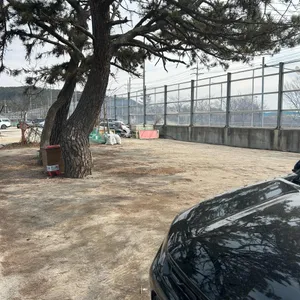 미애네칼국수 리뷰 사진
