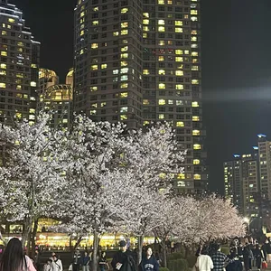 허니치킨 리뷰 사진