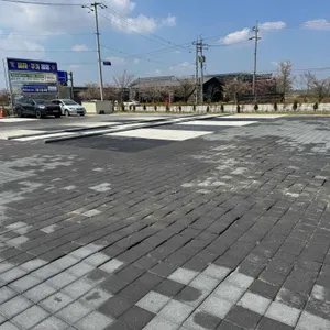 파프리카 리뷰 사진