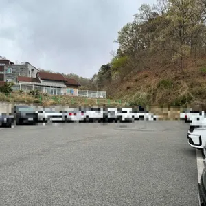 마시코 리뷰 사진