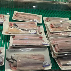 장어의꿈 사진