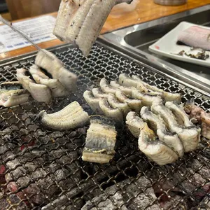 장어의꿈 사진