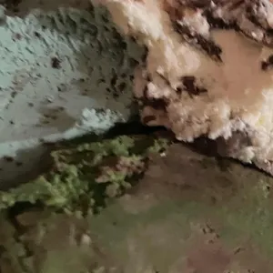 배스킨라빈스 리뷰 사진