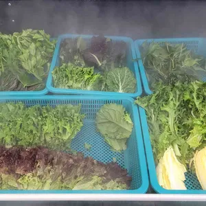 이배재직화쌈밥 사진