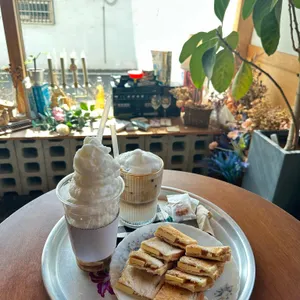 춘삼월애 사진