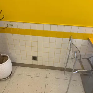고망고 리뷰 사진