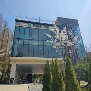 빅트리 리뷰 사진
