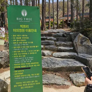 빅트리 리뷰 사진