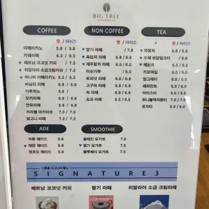 빅트리 리뷰 사진