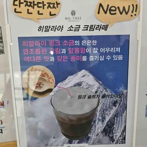 빅트리 리뷰 사진