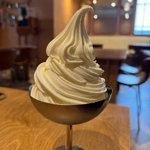 다운트클래식 사진