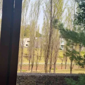 조각달과자점 리뷰 사진